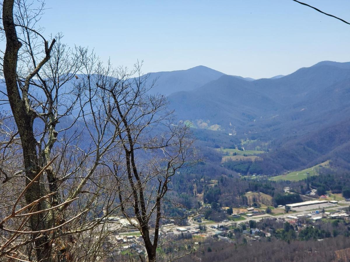 BurnsvilleTreehouse Cathedral In Blue Ridge Mountains, Nc别墅 外观 照片