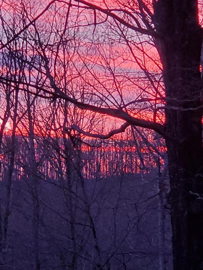 BurnsvilleTreehouse Cathedral In Blue Ridge Mountains, Nc别墅 外观 照片