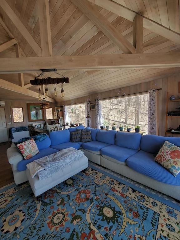 BurnsvilleTreehouse Cathedral In Blue Ridge Mountains, Nc别墅 外观 照片
